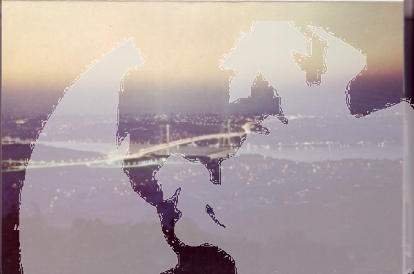 Bosporus - TR xxxx 95 002 **